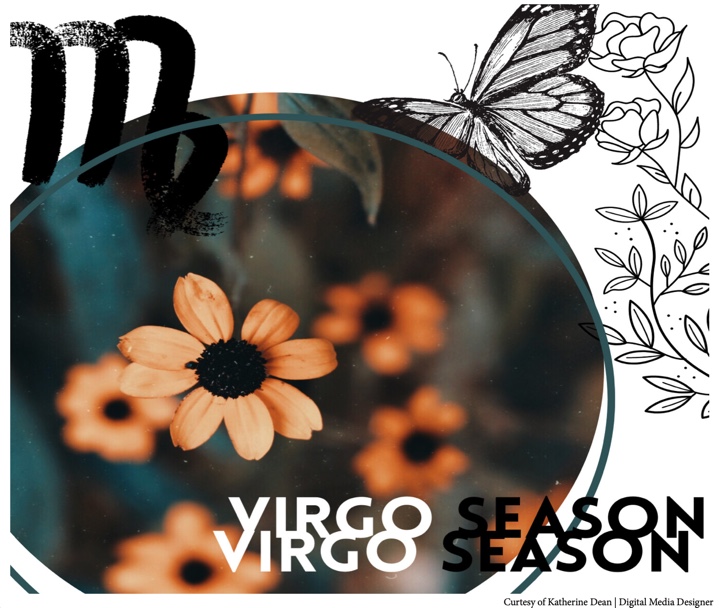 Zodiac 101 & what virgo season holds