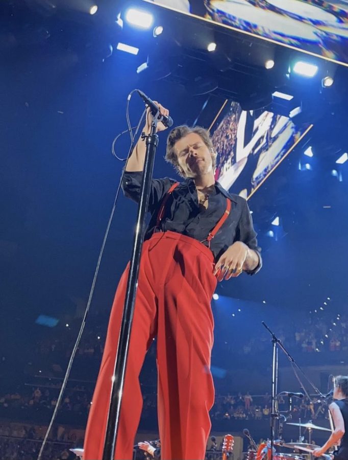 Harry Styles is here to stay. Literally.