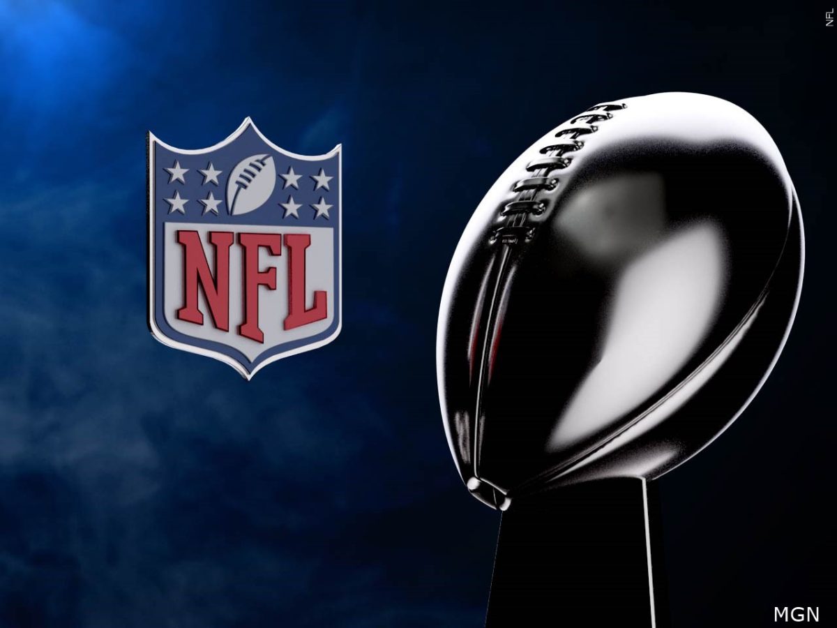 NFL playoffs: wildcard & divisional update