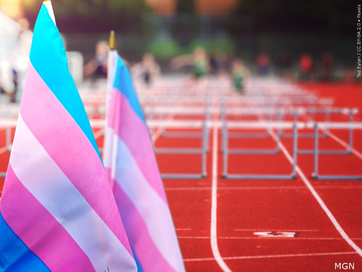 Transgender Pride flags in front of track 